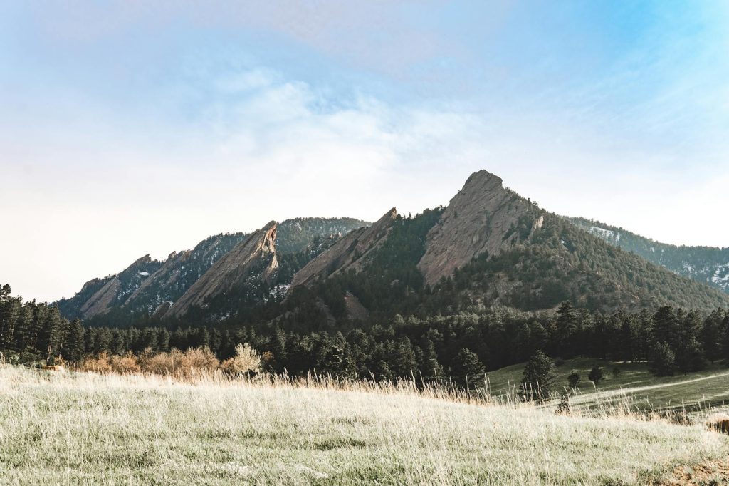 Colorado food photography - Boulder Has a Quiet Food Revolution. Here's Where to Find It