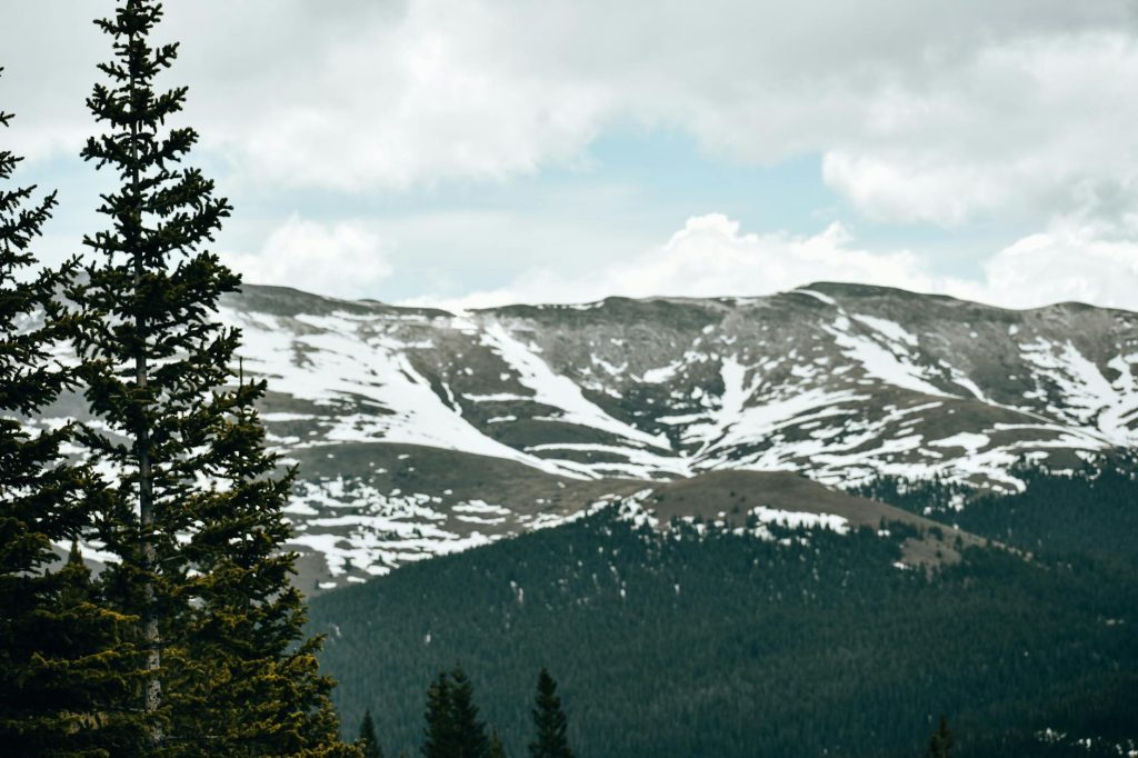Colorado - Colorado Grain Revival: Inside the State's Flourishing Local Grain-to-Table Movement