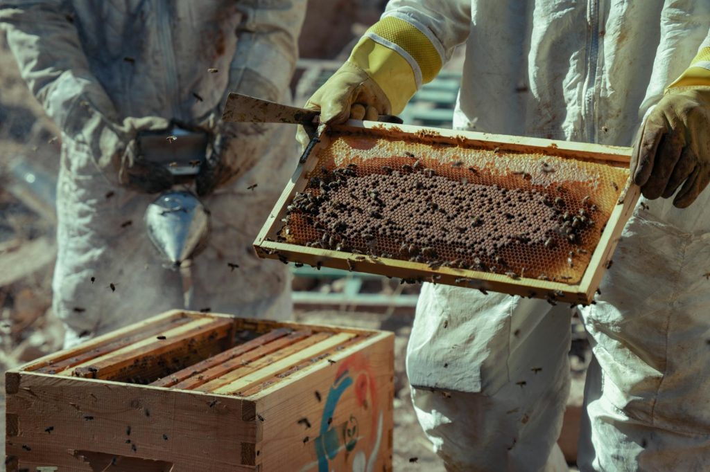 Colorado - Colorado's Unsung Honey Producers: A Field Guide to Local Raw Honey Worth Seeking Out
