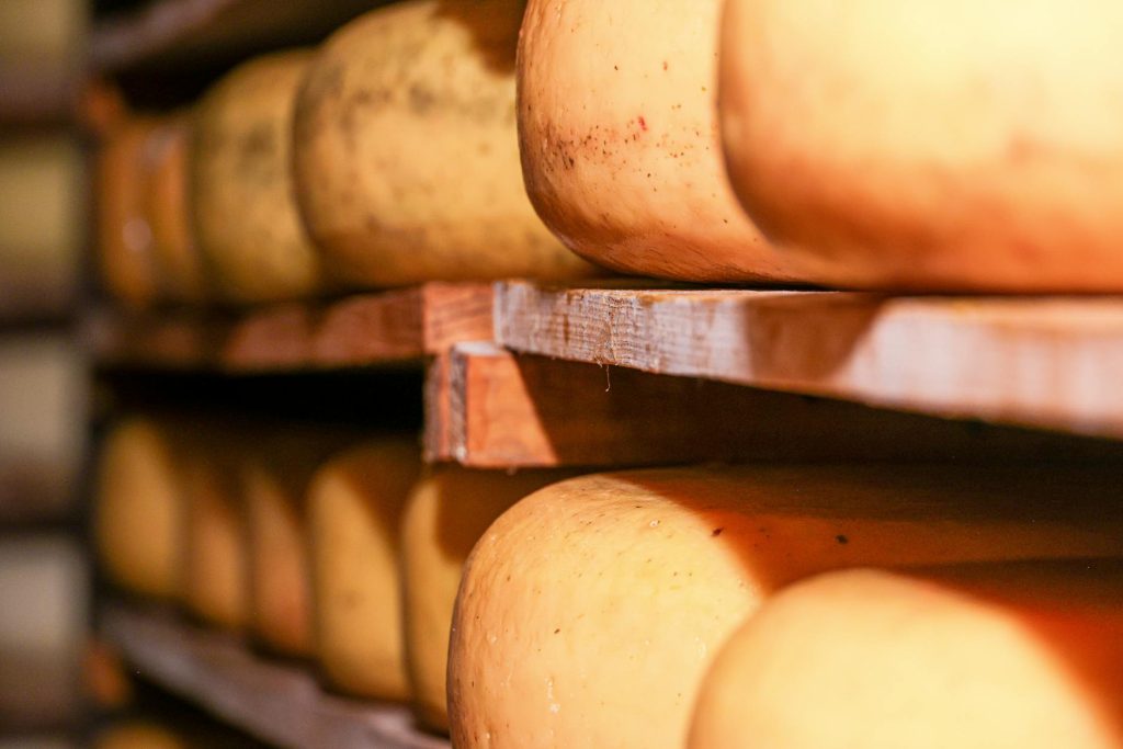 Colorado - 12 Colorado Artisan Cheese Makers You Need to Know This Year
