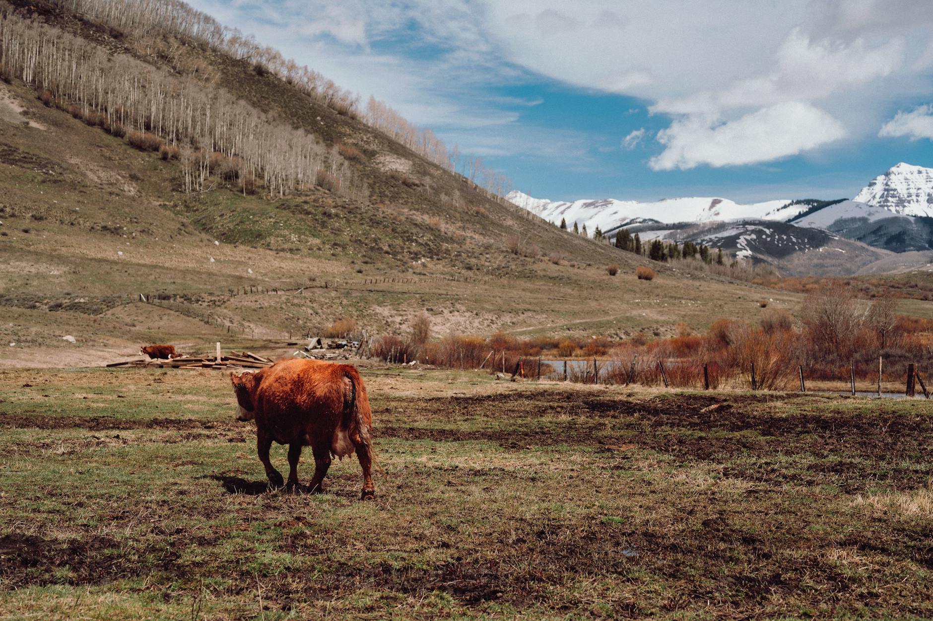 Inside Colorado's Regenerative Agriculture Movement: 8 Local Farms ...
