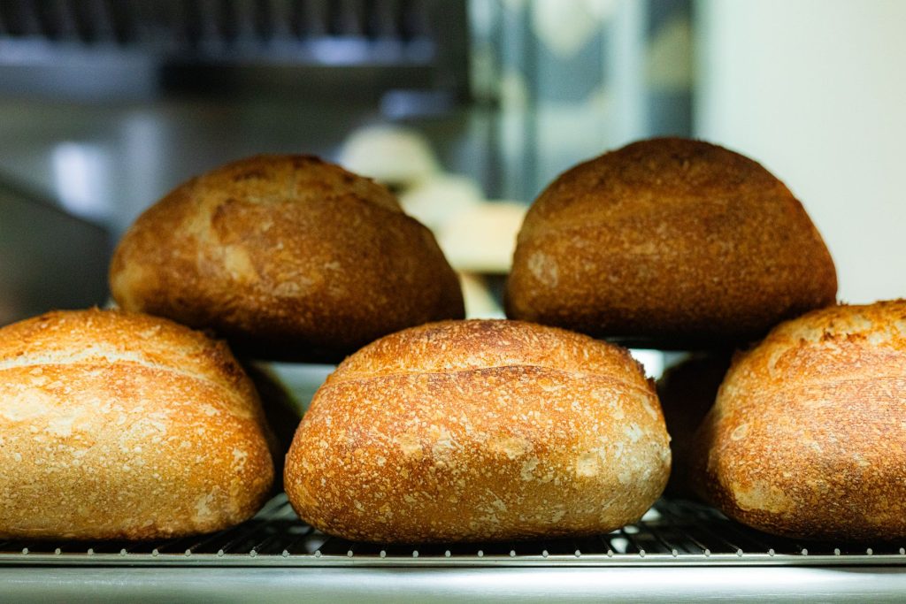 Colorado - The Ultimate Guide to Sourdough Baking with Colorado Heritage Wheat